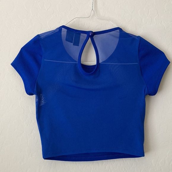 Blue Sheer Mesh Crop Top - Picture 3 of 6